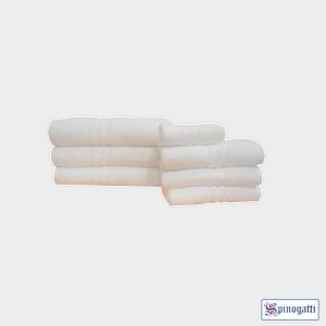 Telo Asciugamano e Ospite