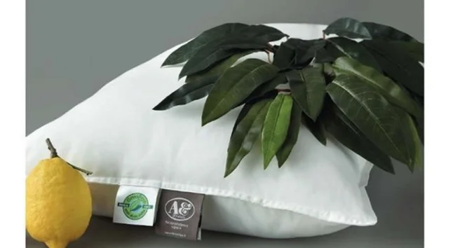 Guanciale Anti-acaro Greenfirst